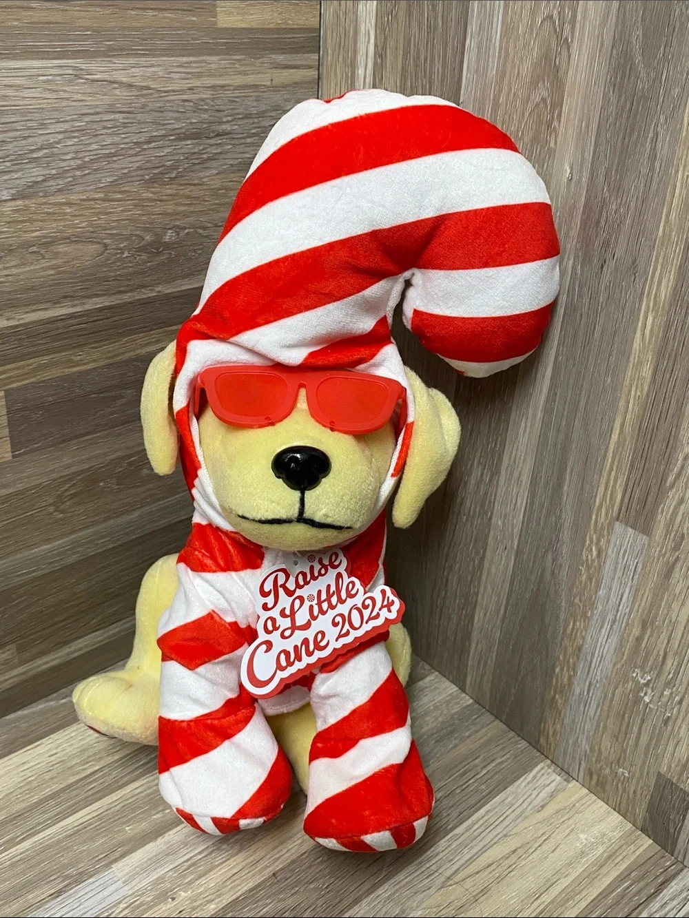 Raising Canes plush dog cosplay Christmas raising Canes chicken fingers mascot